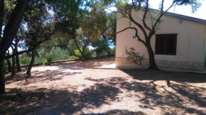 House Zlatko